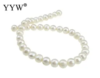 YYW Vysoce Kvalitní 11-12mm Přírodní Sladkovodní Pearl Korálky white Pearl Kolo Volné Korálky DIY Náhrdelník Bracelat Výrobu Šperků
