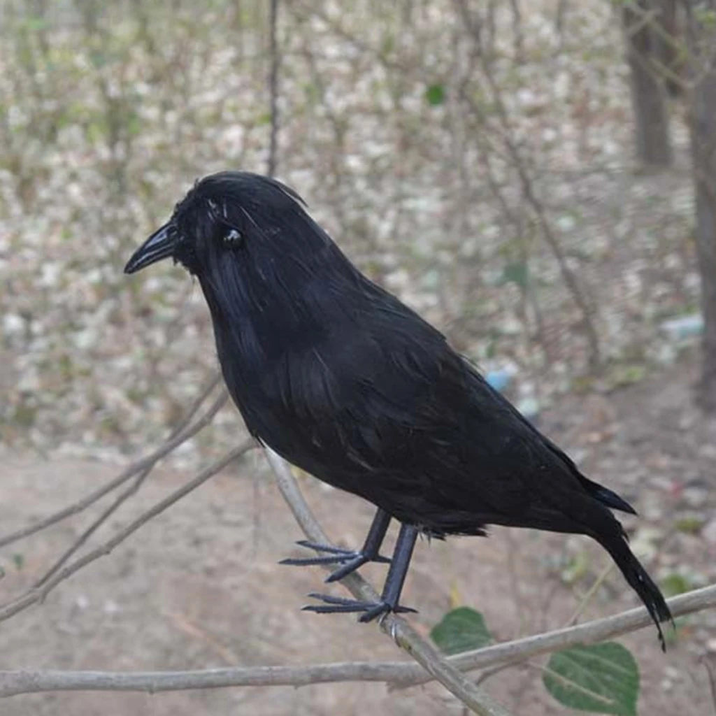 6ks Skutečný Dotek Černé Pernaté Malé Vrány Ptáci, Havrani Pro Halloween Decor 3