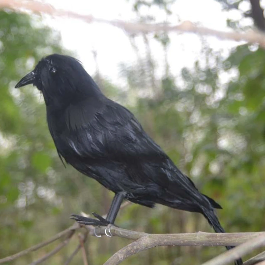6ks Skutečný Dotek Černé Pernaté Malé Vrány Ptáci, Havrani Pro Halloween Decor 5
