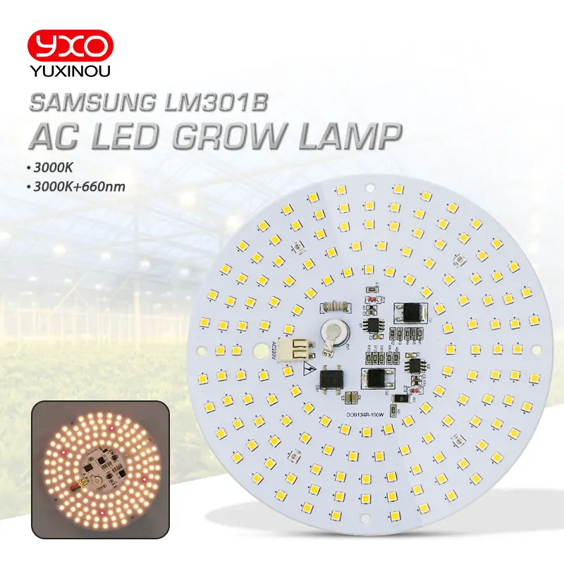 Bez řidiče 100W AC Led Grow Světlo LED Lampa Full Spectrum Samsung LM301B 3000K 660nm DIY LED Plant Grow Světlo pro Veg/Bloom 5