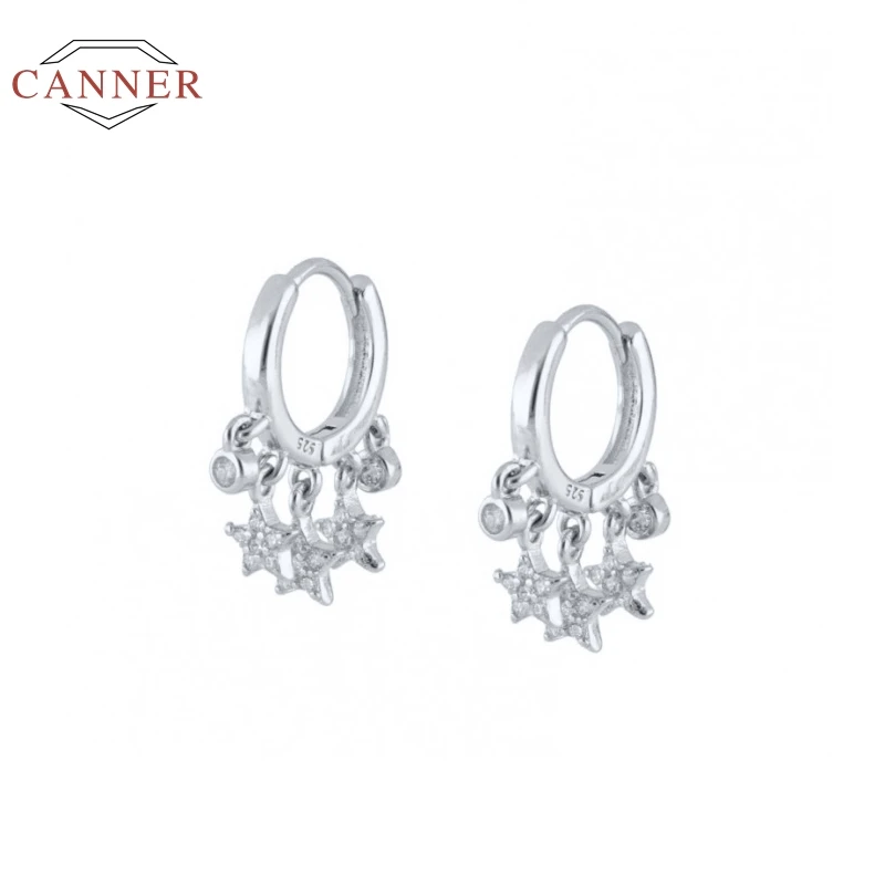 CANNER Hvězdičkový Kulaté Náušnice Pro Ženy 925 Sterling Silver Diamond Crystal Pendientes Mujer Manžety Ucho Piercing Šperky #9.8 2