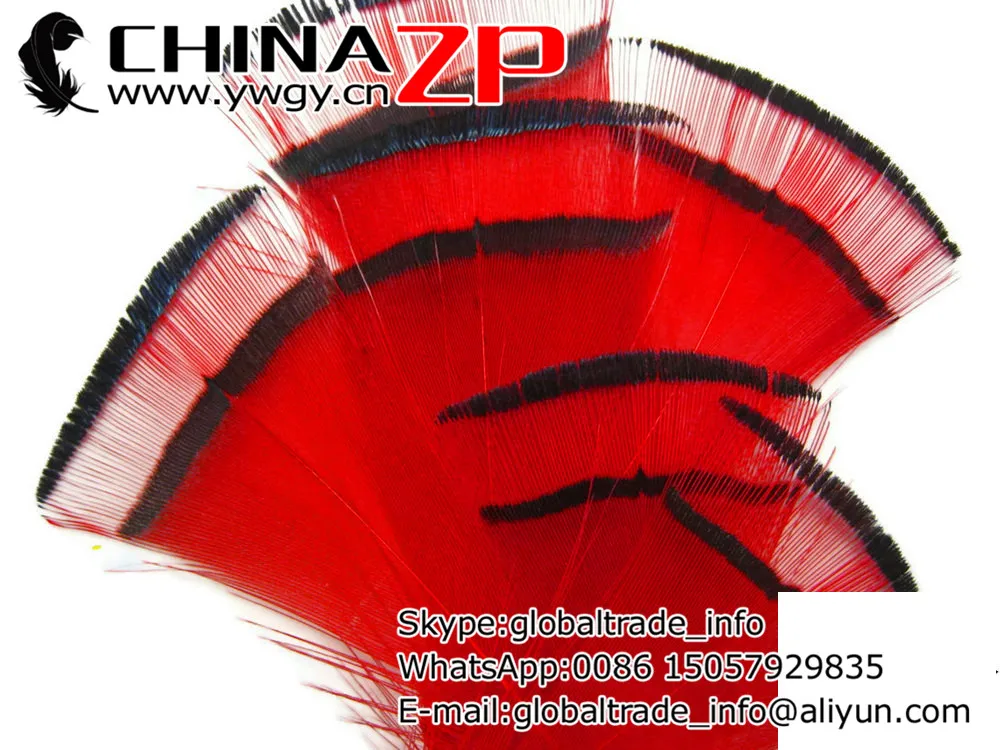 CHINAZP Továrny 100ks/hodně Kvalitní Barvené Červené Bažant Návazec Peří pro Ručně vyráběné pokrývky hlavy Příslušenství 2