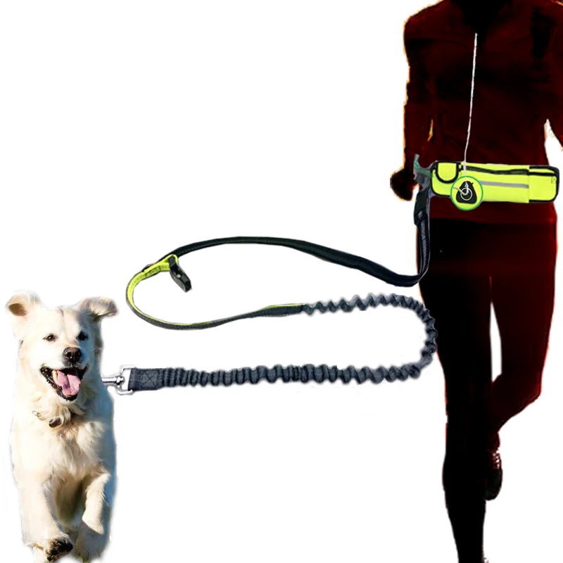 Hands Free Vodítko Pro Psa Outdoor Reflexní Bezpečnostní Běží Pet Vede Pás S Pouch Tašky Elastické Jogging, Venčení Psů Vodítka 1