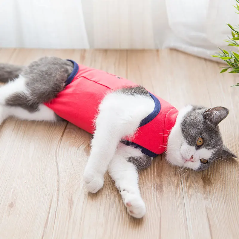 Pet Cat Dog Clothes Post-Operation Clothes Pet Surgical Gown Coat Sterilization Weaning Anti-licking Pet Cat Products Supplies 0
