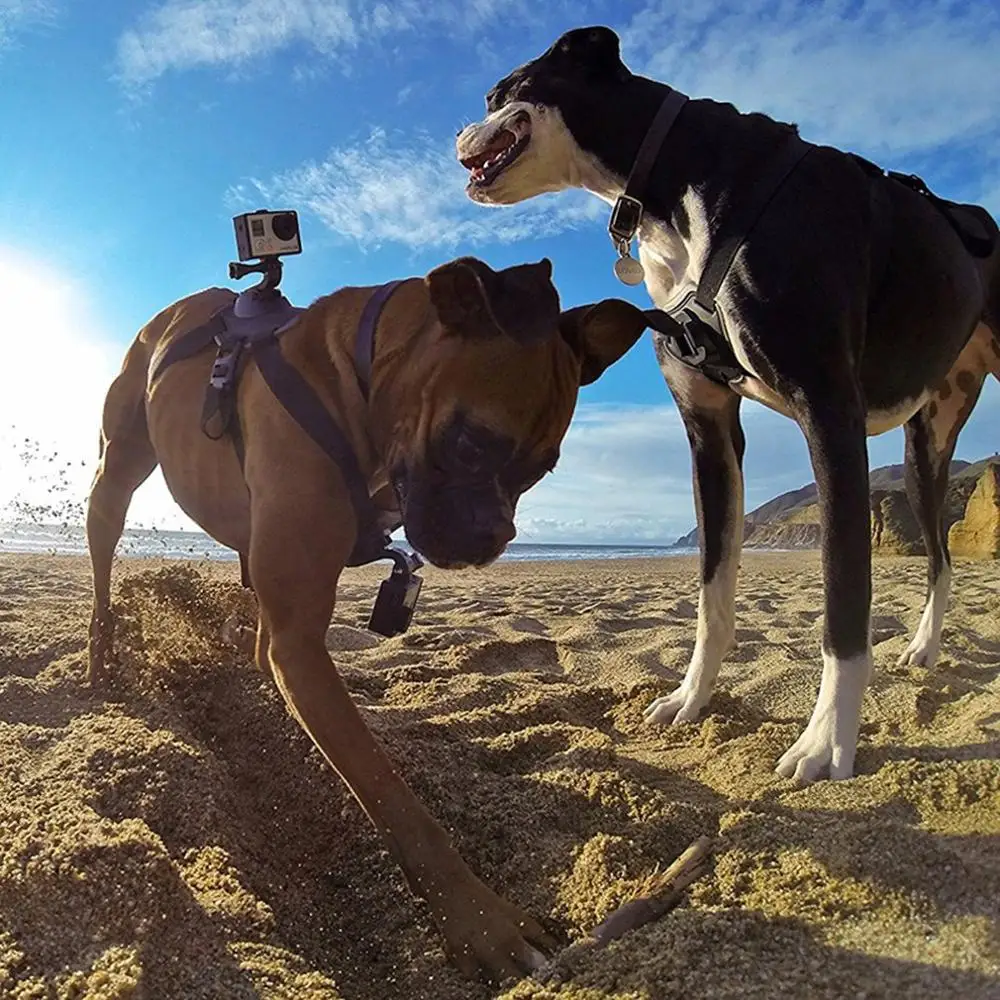 Příslušenství k fotoaparátu Psí Postroj Mount Hrudní Popruh Mount Kamera Hero Pes Hrudní pás Vhodný pro Lovecké Použití 3